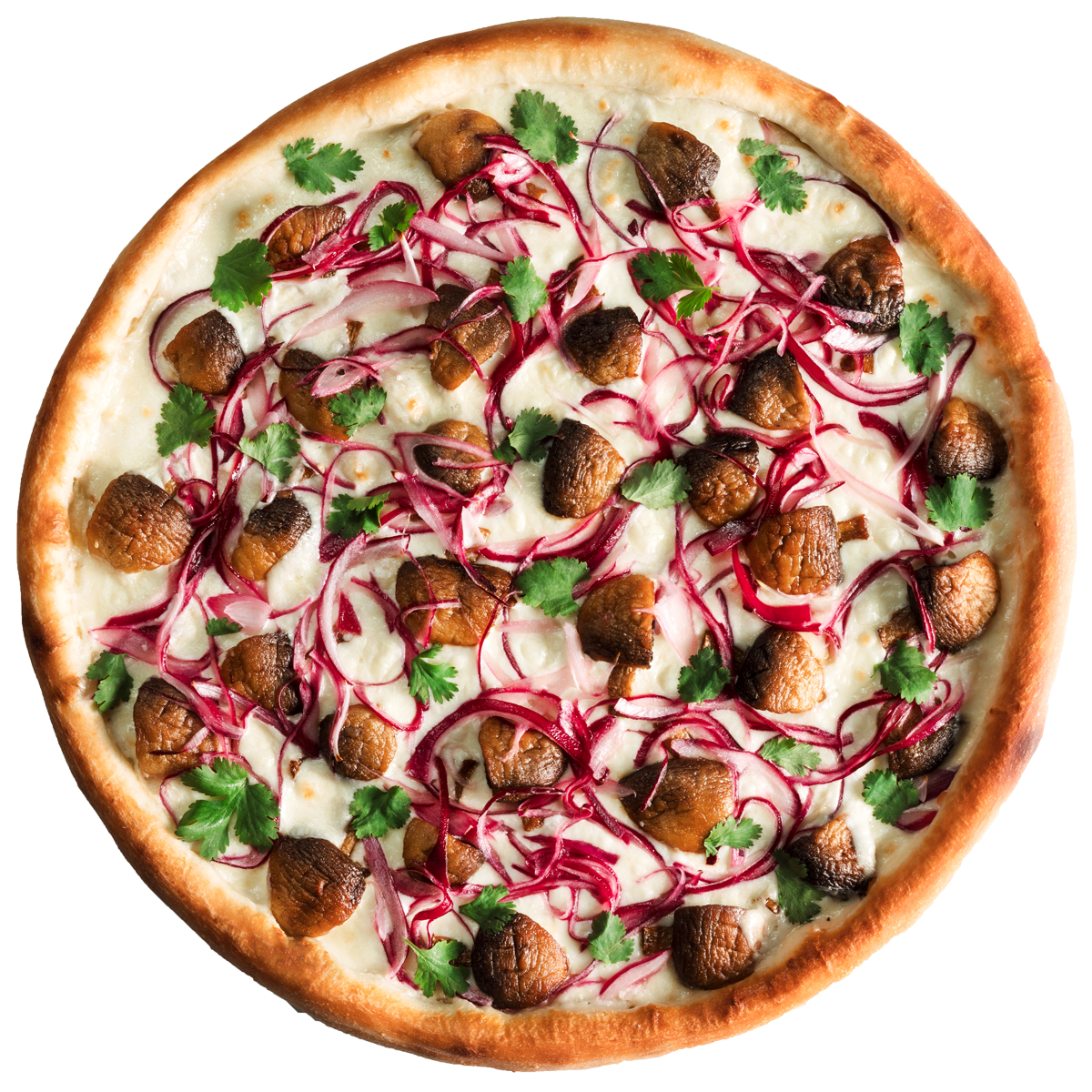грибная пицца из шампиньонов фото 53